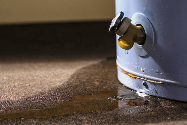Best Sewage cleanup and water damage restoration  in Ashdown, AR
