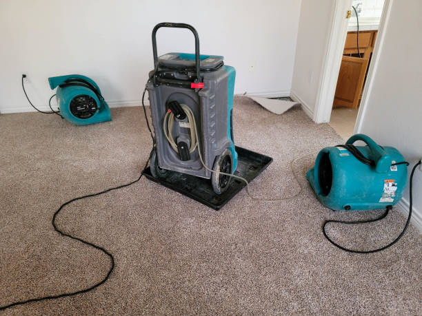 Best Water damage contractors near me  in Ashdown, AR
