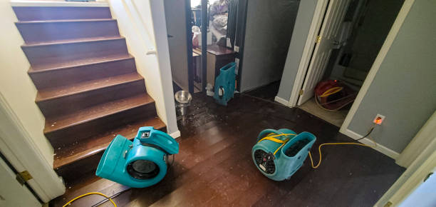 Best Commercial water damage restoration  in Ashdown, AR