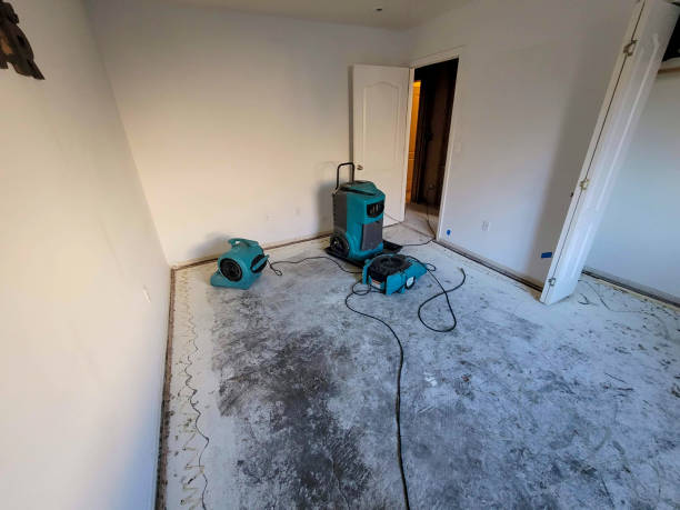 Water damage restoration mold remediation in Ashdown, AR