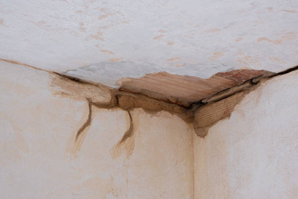 Best Carpet water damage restoration  in Ashdown, AR