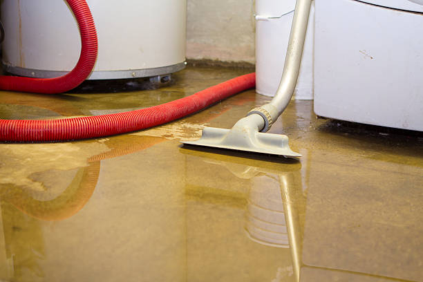 Trusted Ashdown, AR Water damage restoration Experts