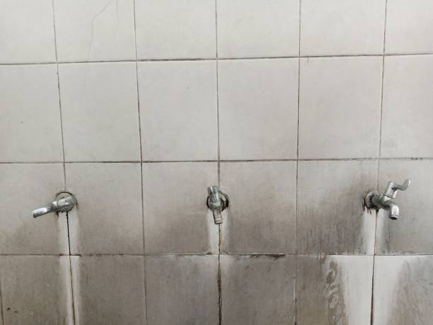 Best Water damage restoration insurance claims  in Ashdown, AR