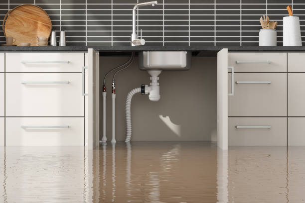 Best Water damage restoration near me  in Ashdown, AR